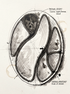 JAGUAR — Edición Circular