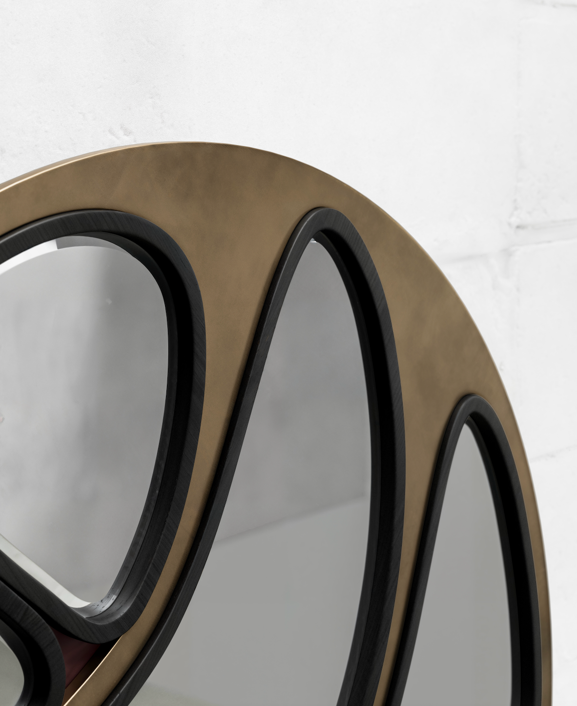 JAGUAR — Edición Circular