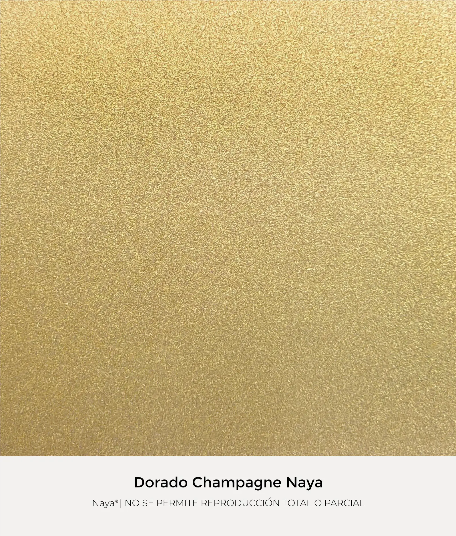Dorado_Champagne_Naya