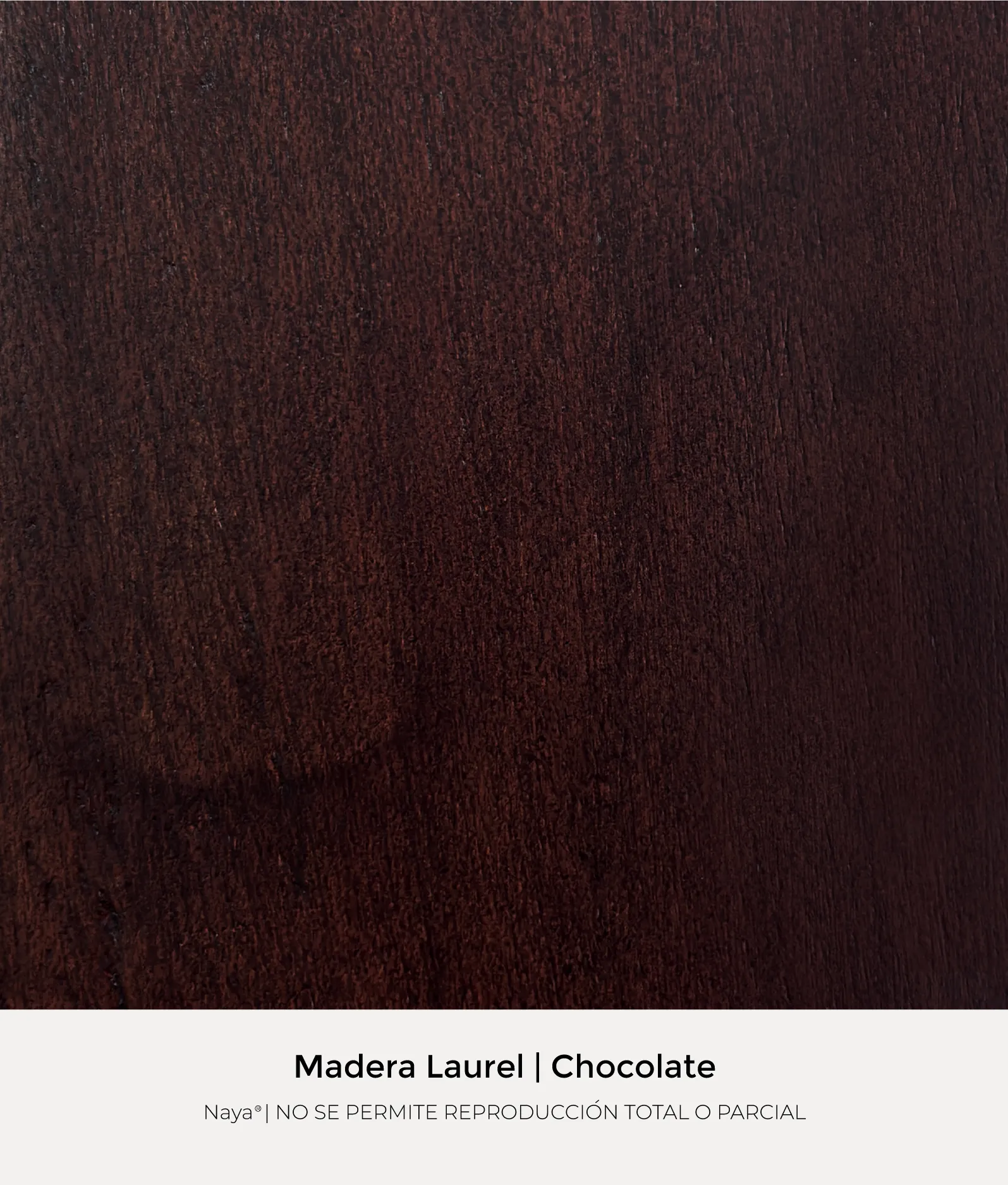 Laurel_Chocolate_Naya